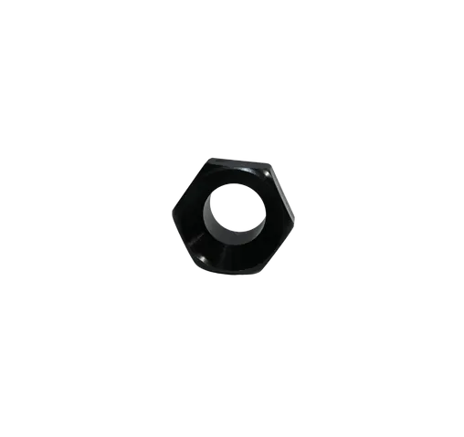 nut-water-stem-5602823